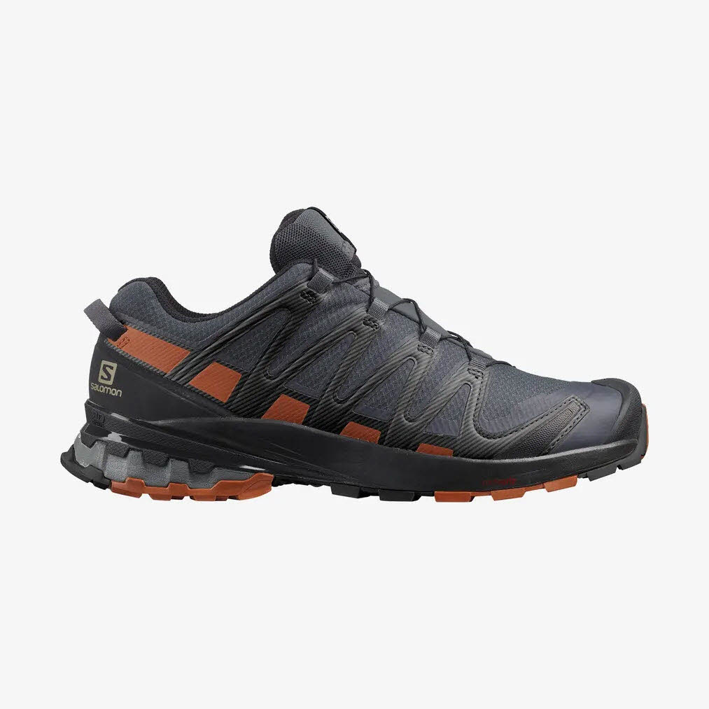 SALOMON Shoes XA Pro 3D v8 GTX Herren