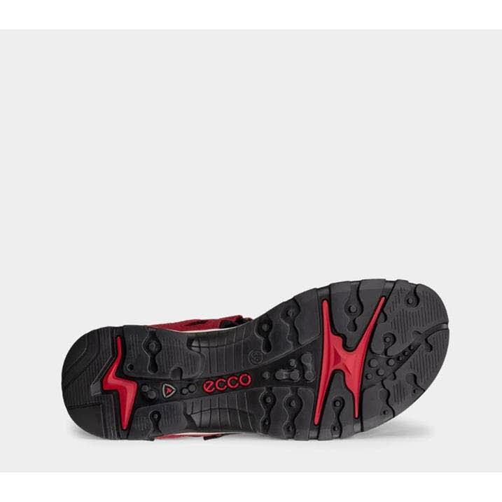 ECCO Treck sanda Damen