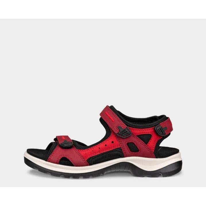 ECCO Treck sanda Damen