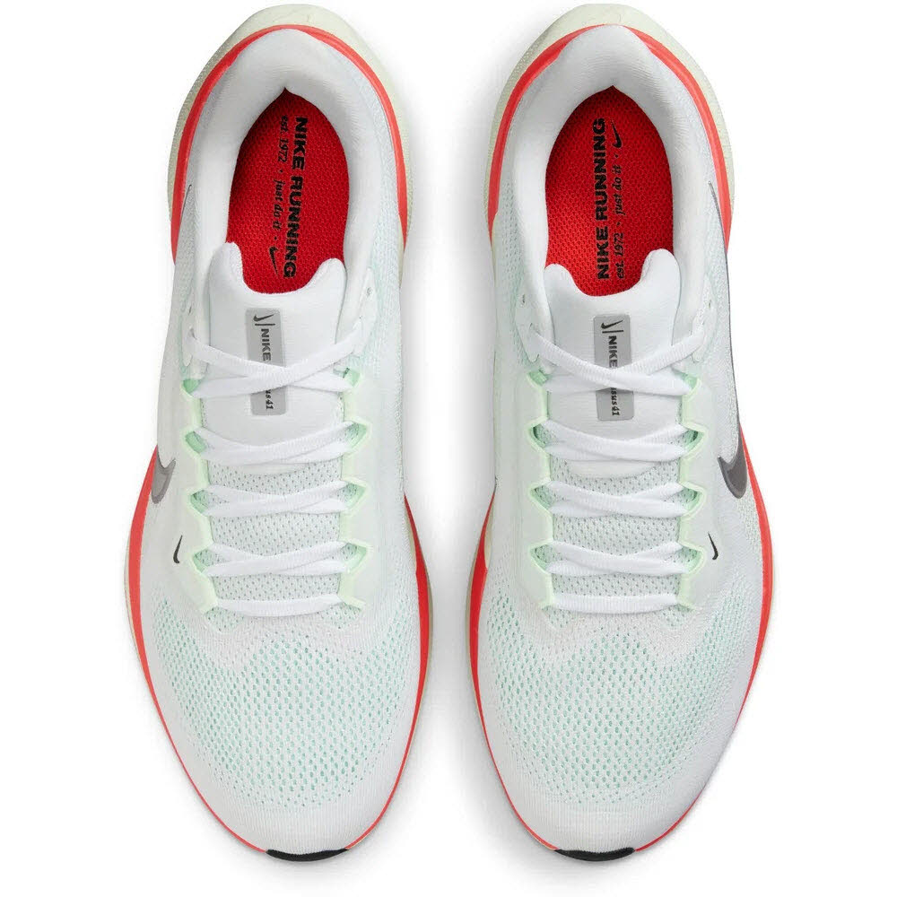 NIKE Air Zoom Pegasus 41