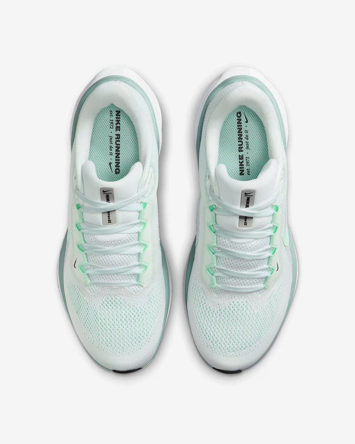 NIKE W Air Zoom Pegasus 41