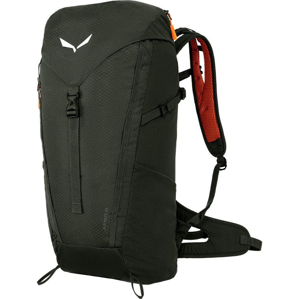 SALEWA Alp Mate 26